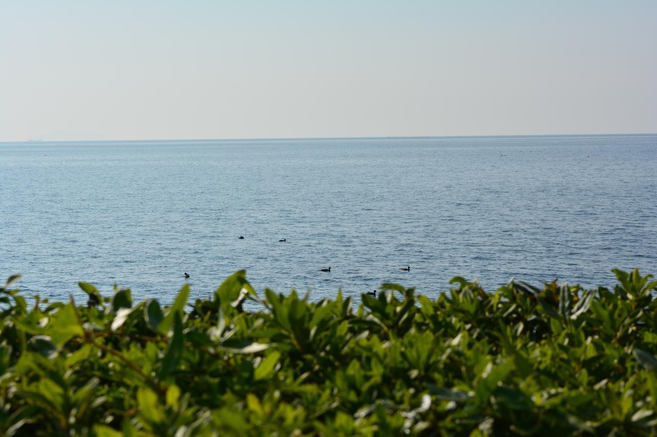 Hikone View Hotel Εξωτερικό φωτογραφία